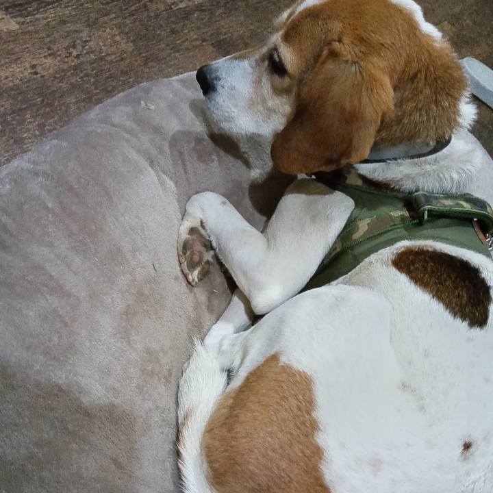 8dd816c1 39f8 4e24 82cc d0150e49c3bc 1740318283299