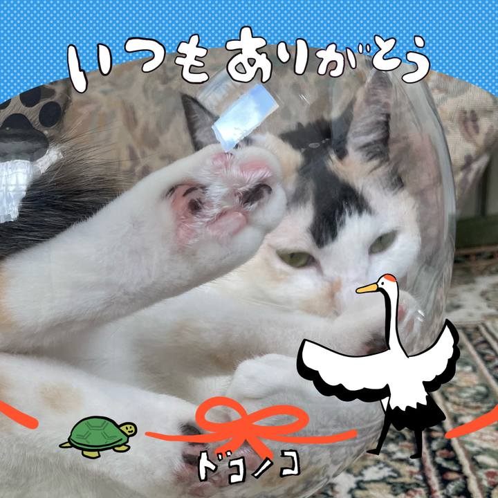 8dd829e5 6ac5 4096 9910 56871b702de8 1726808668120