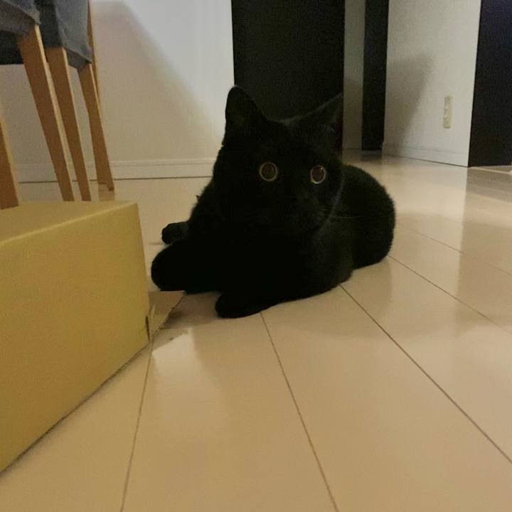 8dd82e75 2483 4ac2 8b87 624a0b29fce0 1747141246235