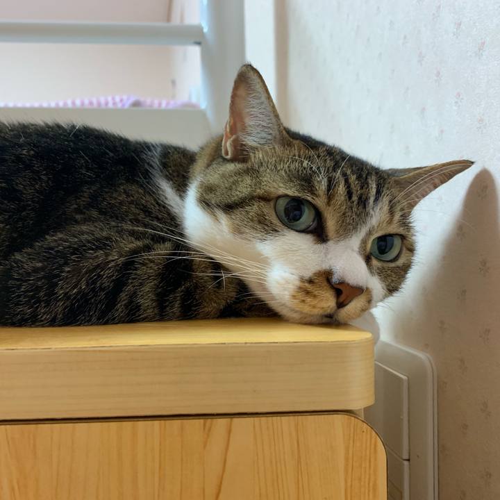 8dd830e0 4e72 46b2 b8e0 00e848a716e0 1568202899382