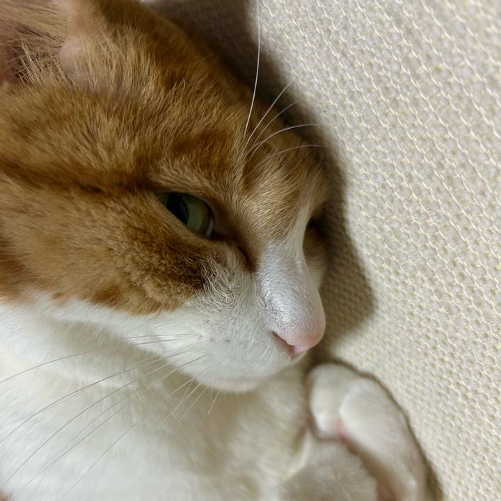 8dd83d9e 0d50 47d2 aa30 793c340c8195 1765370803806