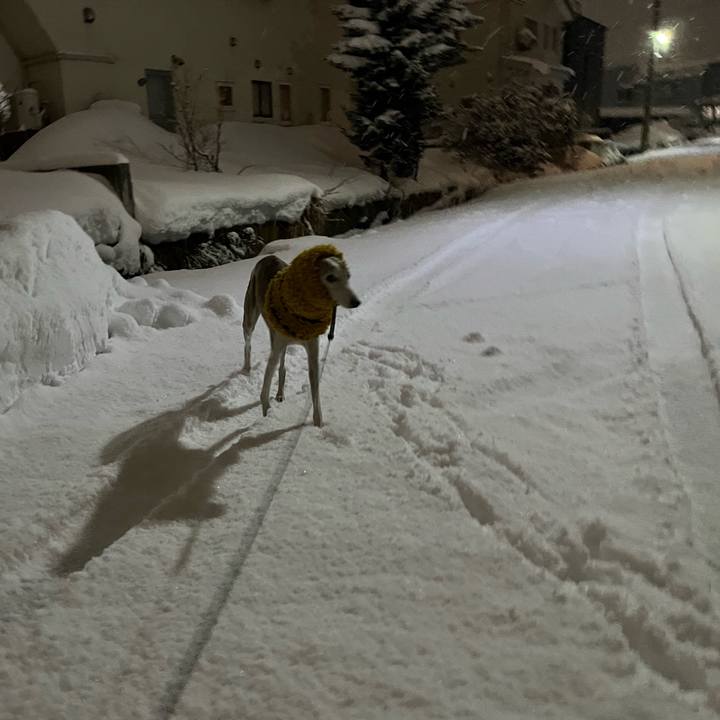 8dd87374 0859 4473 bbbc 2a2a8e829007 1768292312585