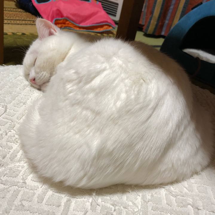 8dd88cfb cd88 434e 80d8 b6fee1e16a70 1572693416481