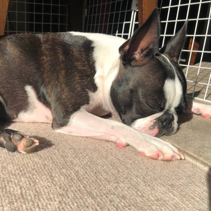 8dd89194 c8ac 4c25 9945 9045c8e25479 1570577112539