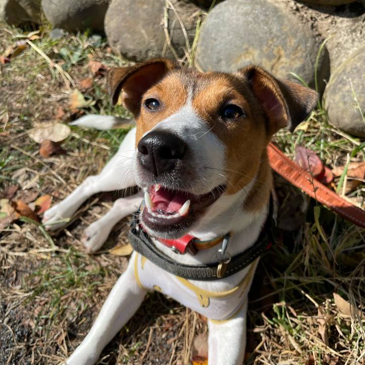 8dd89854 1a54 491e a739 28418e465f70 1699437872867