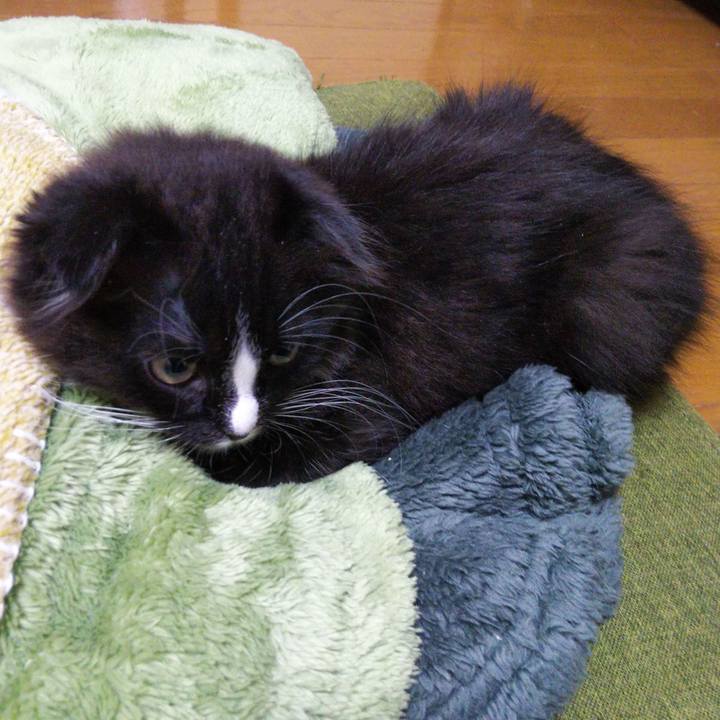 8dd8c373 91e4 4610 a5dd 672350d7c4f5 1639818411717