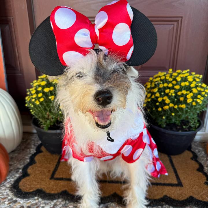 8dd8c852 6d69 406a b6b8 e73aae34fe04 1761912875261