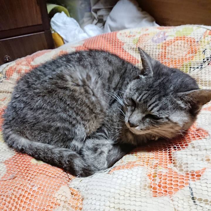 8dd8ca88 b3f4 4123 acd7 c567f45c4e1d 1571660308963