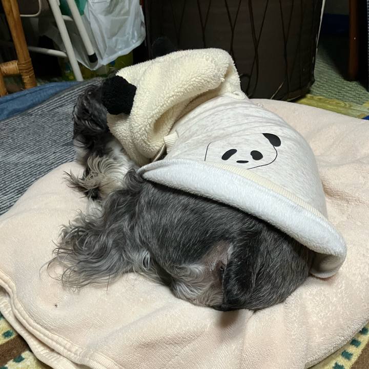 8dd8df93 205c 4acf abe4 2a176f59ced6 1737213395033