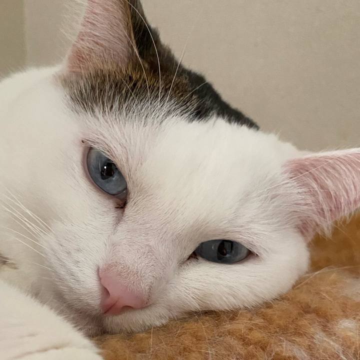 8dd90c6f f8c9 4fb8 a90d e5a6a9c15522 1665786392574