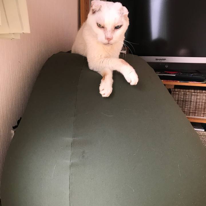 8dd92e98 4193 492e bcfb 573453cb24ce 1536805534105