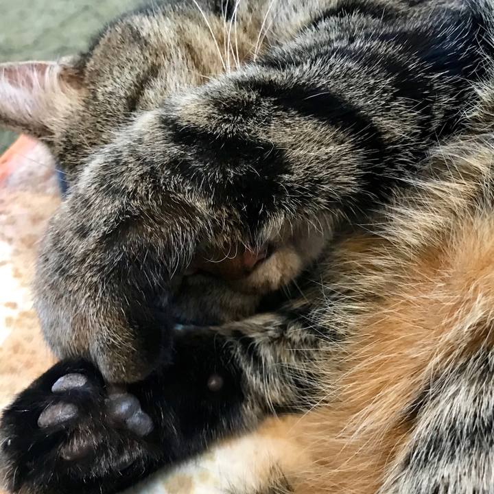 8dd96790 e963 4f2b 9b57 5227ee33f066 1548983796615