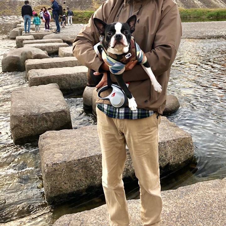 8dd9813b 0dc2 4fd4 9cf8 db42ddf2bb84 1541076044181