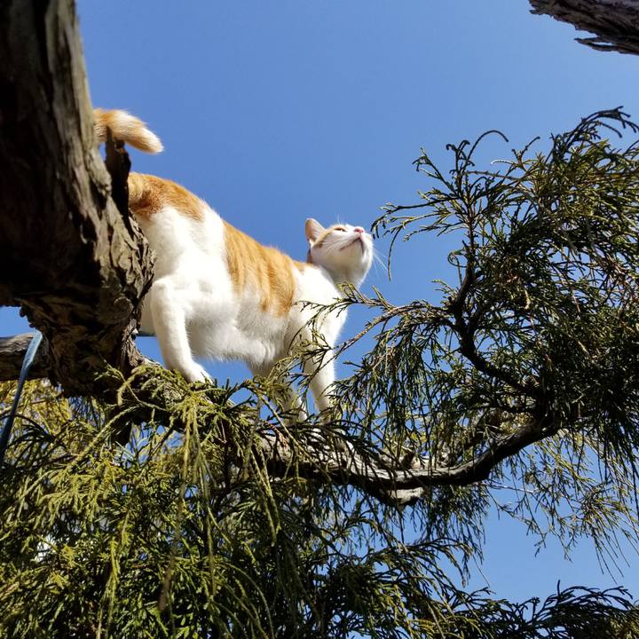 8dd98221 117a 43eb bdc8 6275519ba905 1520828294620