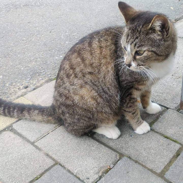 8dd9984c 1e0b 4fce b9e5 2916451a7581 1604050751182