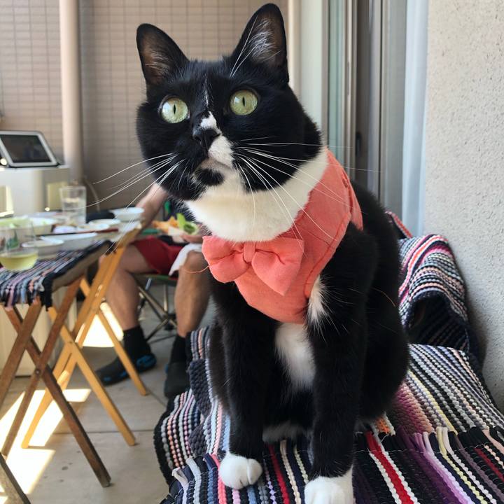 8dd99b0a 1585 4892 bb01 eb2eb1131126 1590995014094