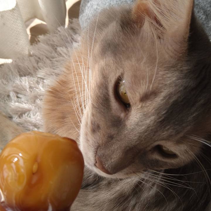 8dd9aff0 cf3e 4add 998f 2a58dafa987a 1614396508187