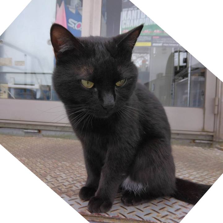 8dd9b186 a740 4366 85da 8e0406a6a3cf 1679054337714