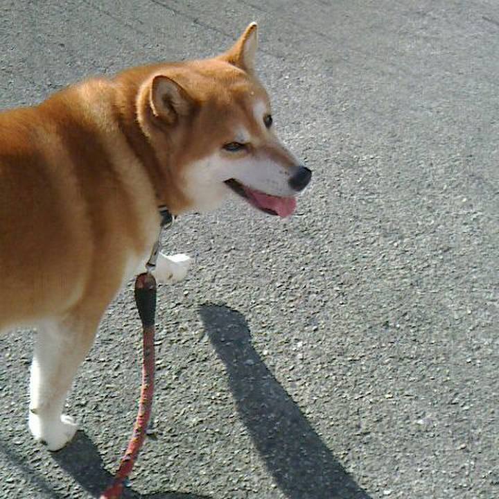 8dd9bc29 2a6a 42e0 ad22 206126811fff 1565574226263