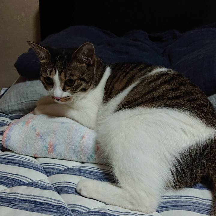 8dd9dcf3 b865 4de9 8715 005011f0b2e2 1565455128681