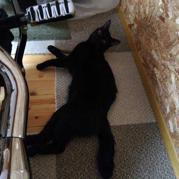 8dda298e 7499 40be 955d e4c37c5f5c01 1599030334053