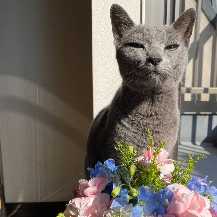 8dda3b22 f065 4600 8fc9 799730e03477 1588062826941