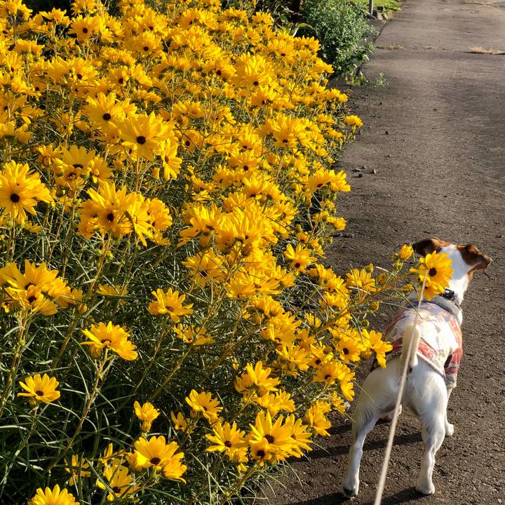 8dda488a e0df 42ab 8b0c 768666ec815e 1601631803041