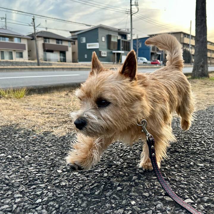 8dda7082 41af 46cb a1e1 7861557f53cf 1742007029050