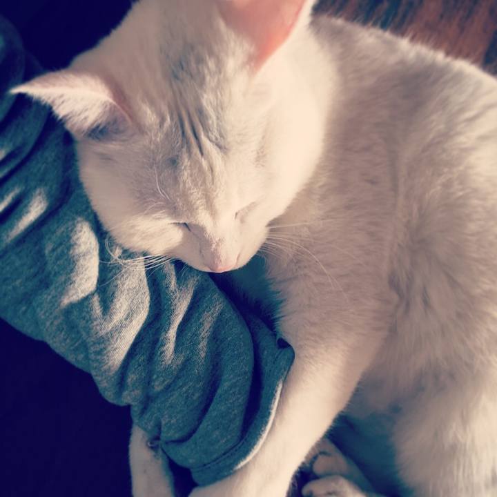 8dda80a2 6942 41e2 a72c c365a9f71fa2 1516845219349