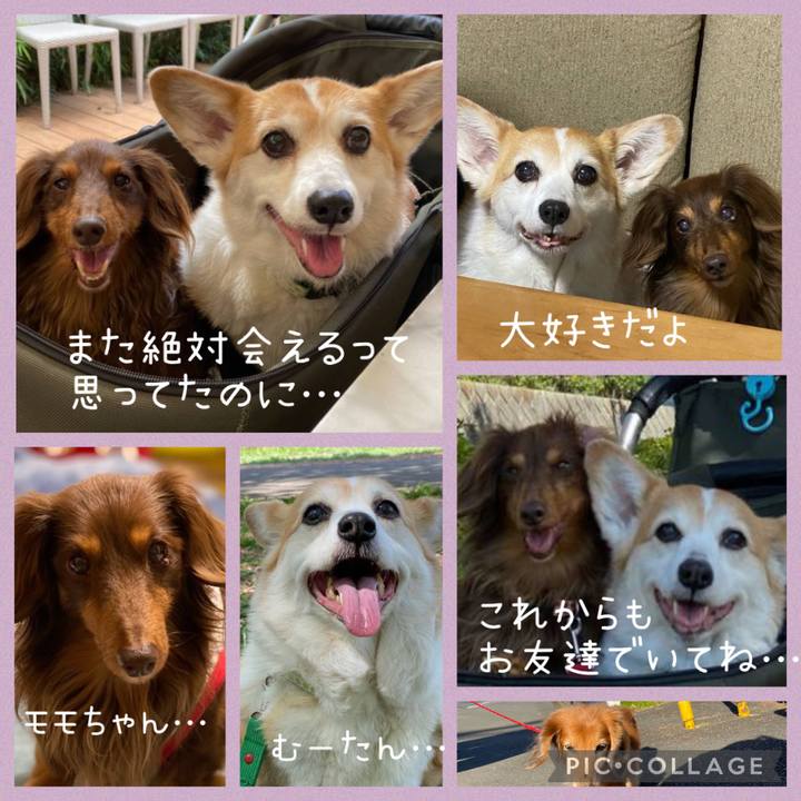 8dda8f7b 12df 4acd bff0 08c793b19b0b 1672408603837