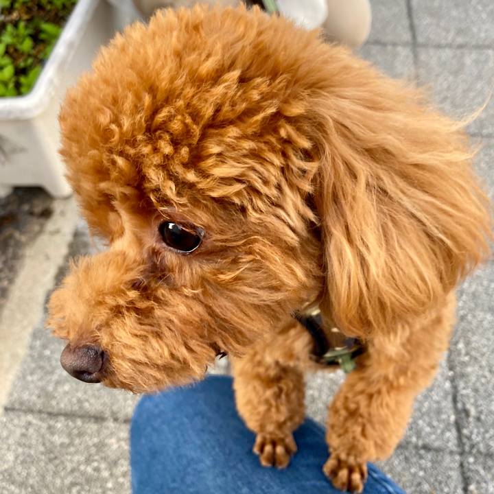 8dda92fd 6672 4f15 8569 cad589735e89 1590237695881