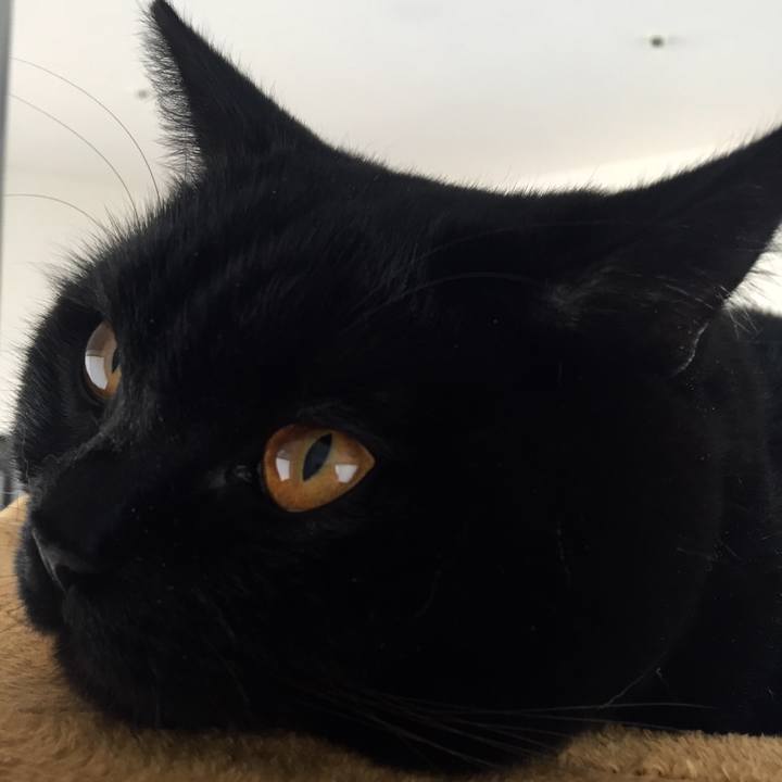 8ddac32d 6138 4f7e 8225 f334b9b9699e 1515468744154