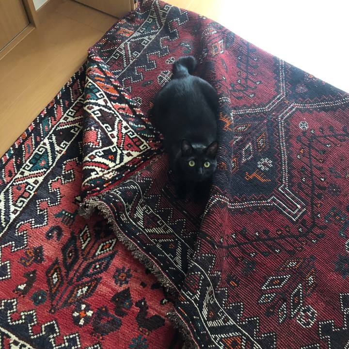 8ddb0711 d23c 4815 a9f3 e9b3d7171a4a 1571417566195