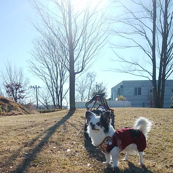 8ddb0c63 50af 41da a729 689946263ade 1514806549409