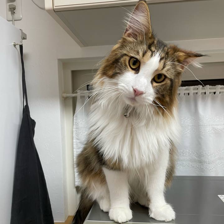 8ddb0f18 8f93 4f31 b2ba 0c31ccf5cac9 1646770108159