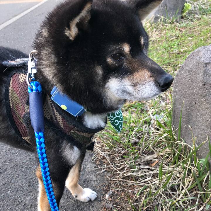 8ddb3b2e c0db 4dbe a124 f9b1b413111c 1523968343440