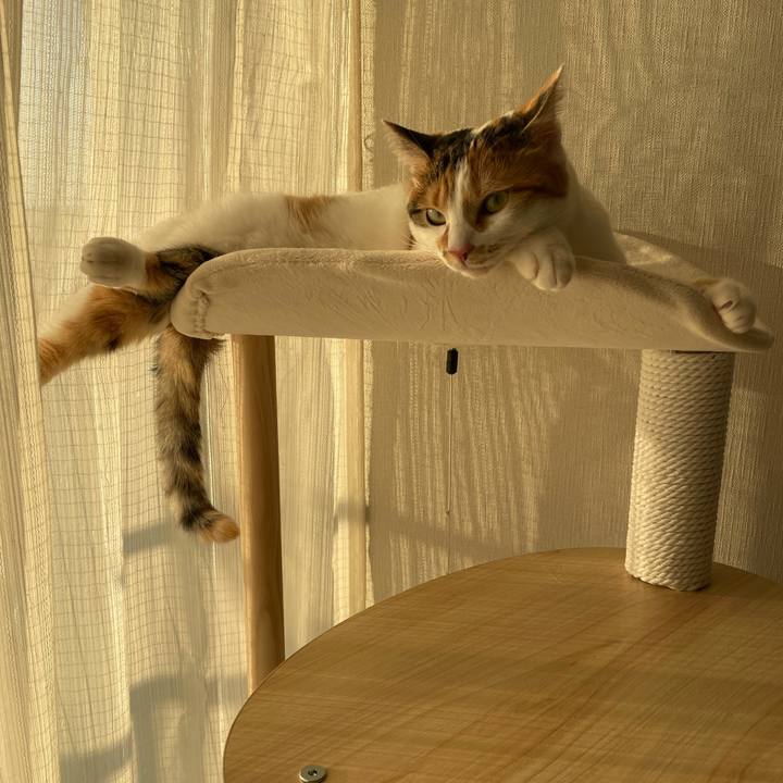 8ddb3cd9 7da9 4273 9e33 500b6b84693b 1612596389482