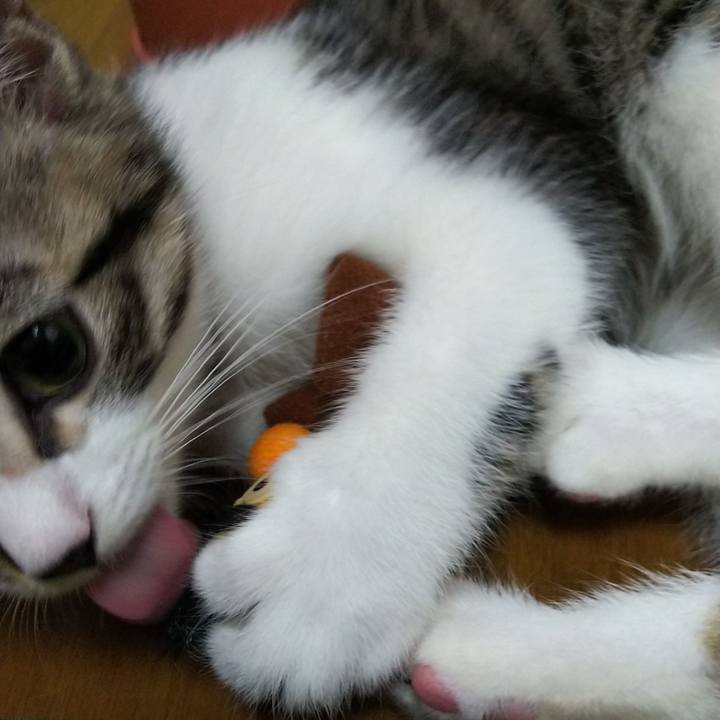 8ddb5109 563a 48c1 8914 d6c9449edbfb 1608635908153