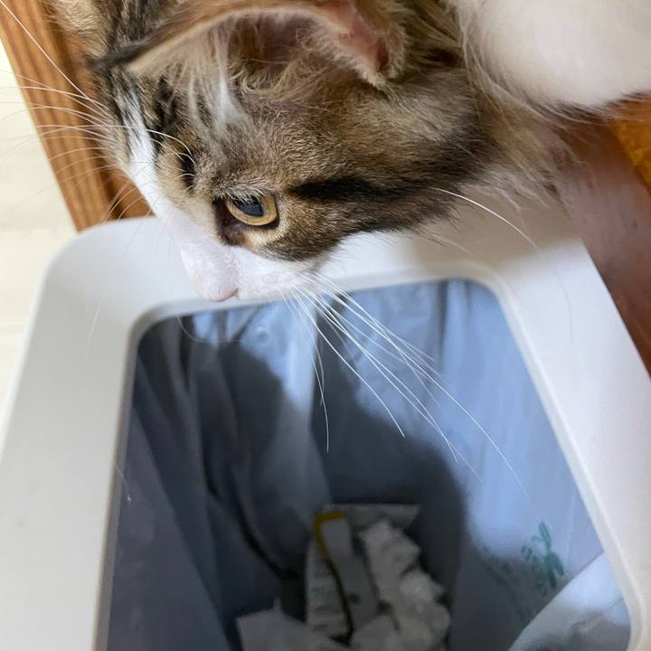 8ddb52e1 9ad3 4b26 829c 3afb6a89fcc5 1633604074250