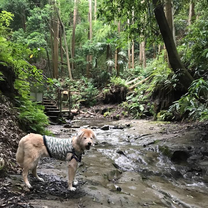 8ddb57f9 8bc5 46a8 a67e 2ac5eb51d9fa 1592777426393