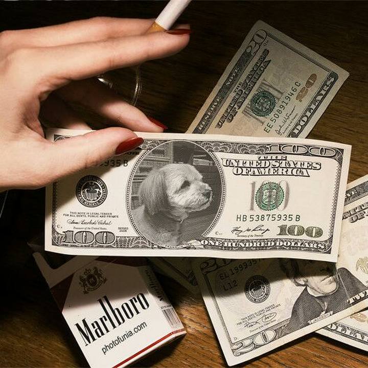 8ddb60b1 4b9b 4f24 b6e4 94b110a3ce56 1514854594217