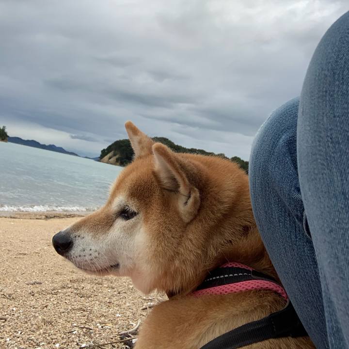 8ddb7042 bc2f 4cf8 a4bf 42a158004ce7 1602324971804