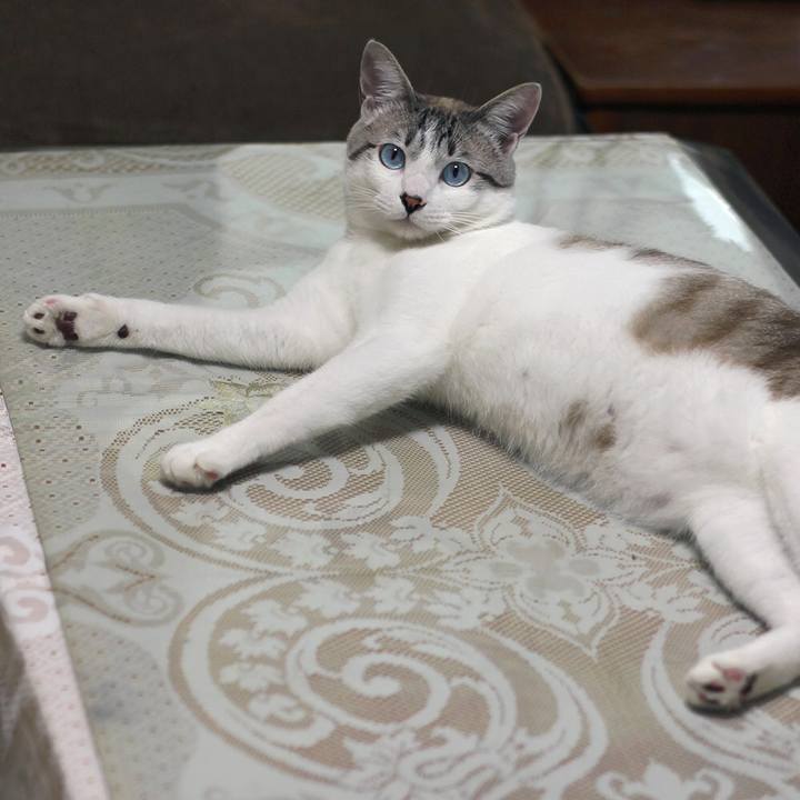 8ddb7c2c 09a9 4061 b66d 2f1b138f48e8 1642548435381