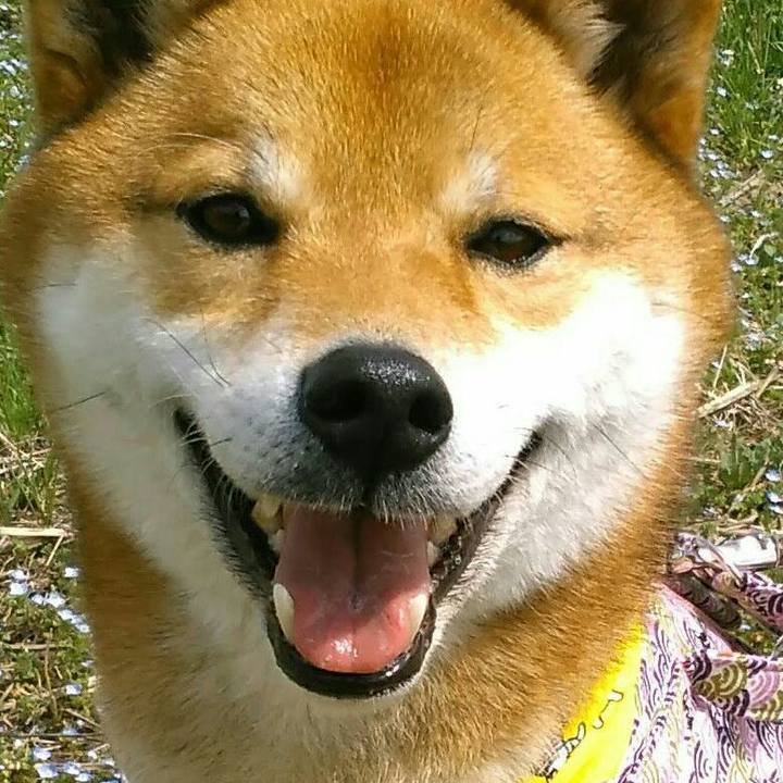 8ddb8291 3bc2 450e bc37 09b4a025dba8 1523366918404