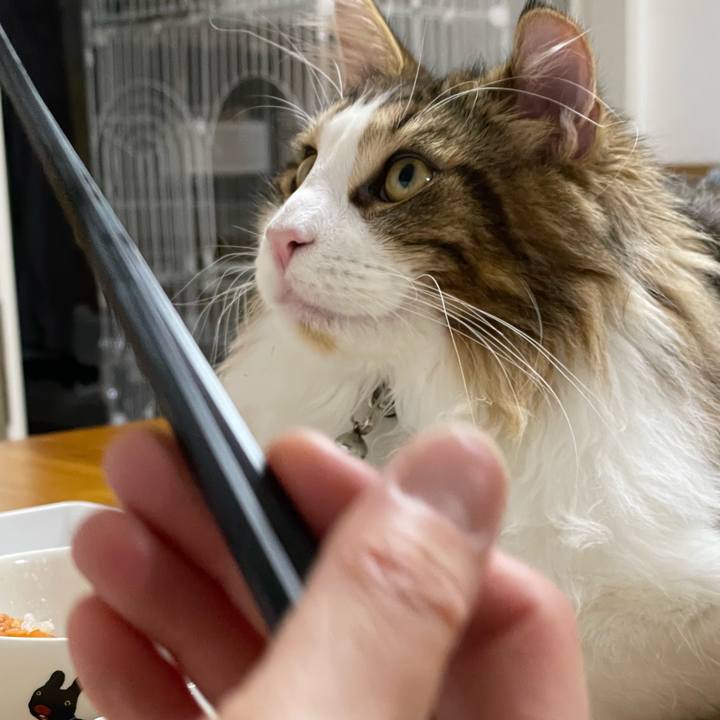 8ddb86eb e648 4cae 82f9 c0491ef5e2cb 1643019046402