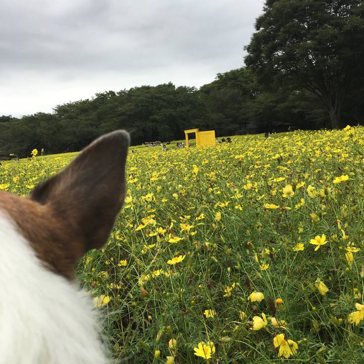 8ddb8afc e4b2 4379 81ae 2b053566fe10 1600126881753