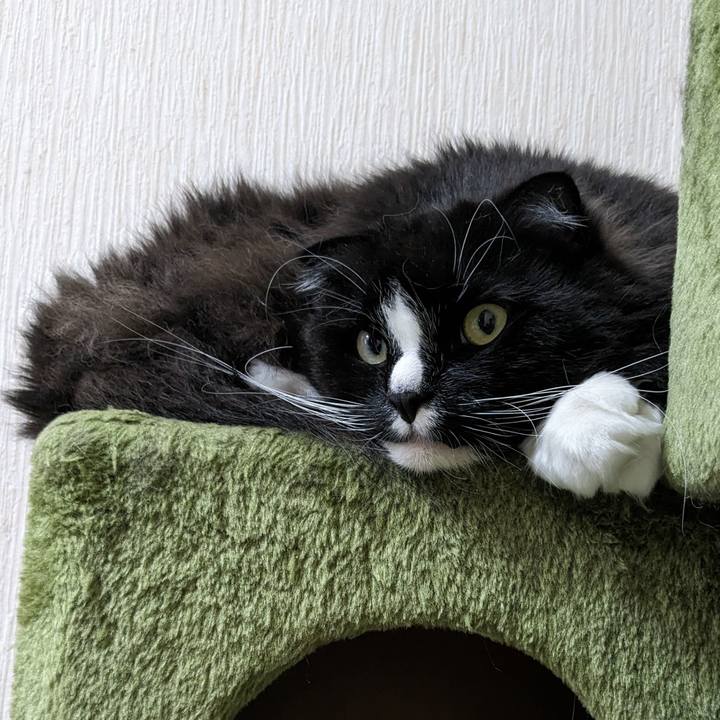 8ddbfee7 84bf 4568 a76a 2a46c445d739 1717050280380