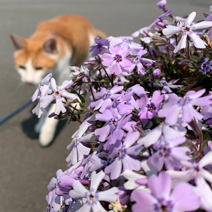 8ddc17a2 5b8d 4c3a bf8e 5b07ae6d32b4 1586914814650