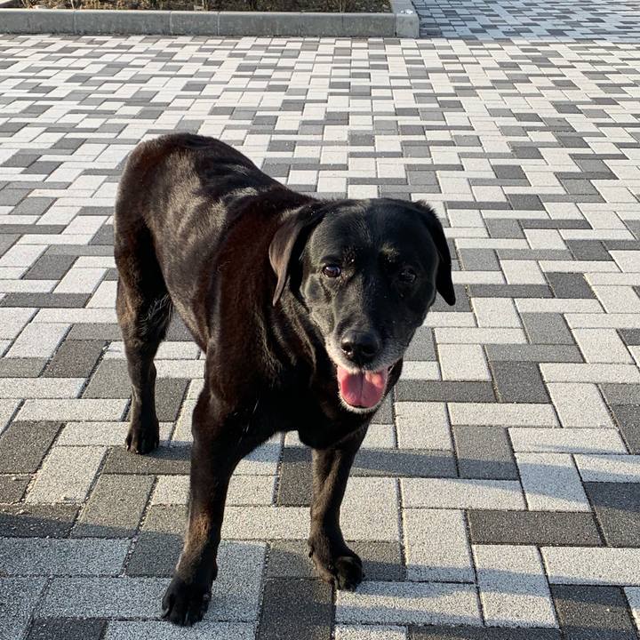 8ddc2d9e 46e6 4ef7 a4be 9b594f4c7021 1555371941907