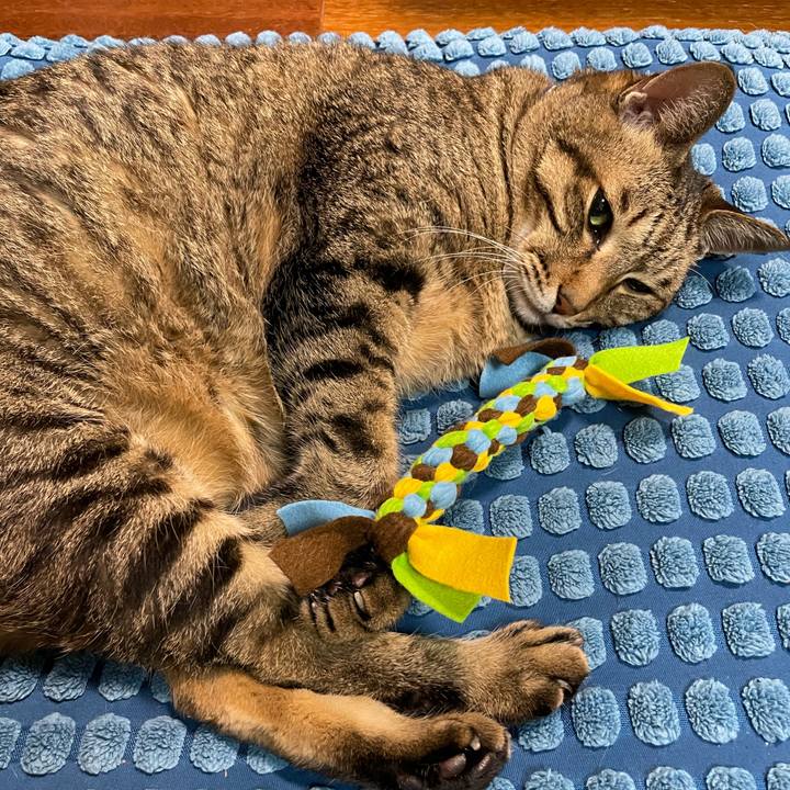 8ddc3f19 20e9 42ab b176 4932552c0f8b 1726890468881